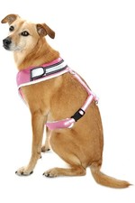 2022 Equisafety LED Flashing Hi-Vis Reflective Dog Harness DOGH - Pink